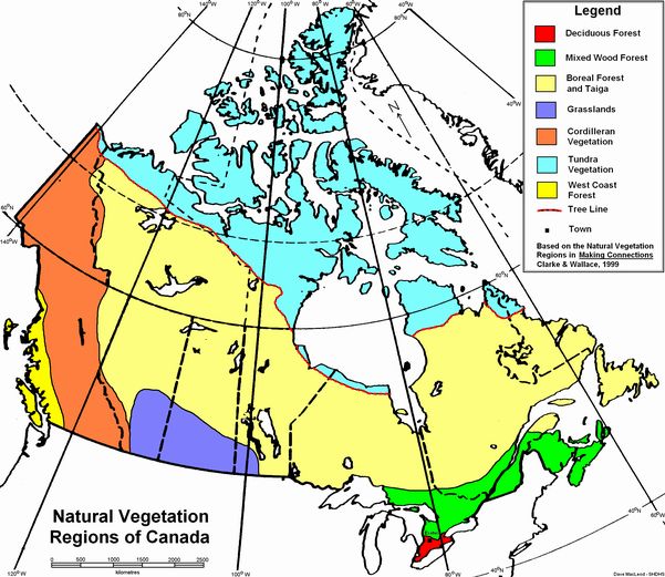 Vegetation Zones On Emaze