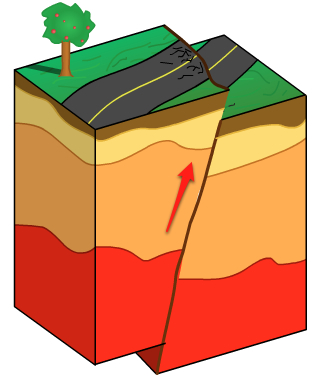 diastrophism at emaze Presentation