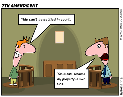 9th amendment cartoon