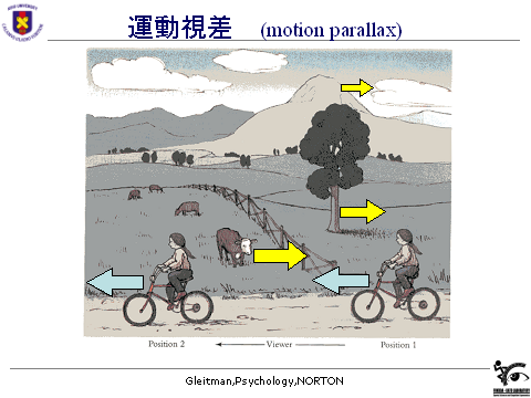 motion parallax ap psychology example