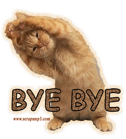 bye bye bye bye