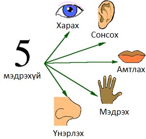 Сэрэл ба хүртэхүй.pptx on emaze