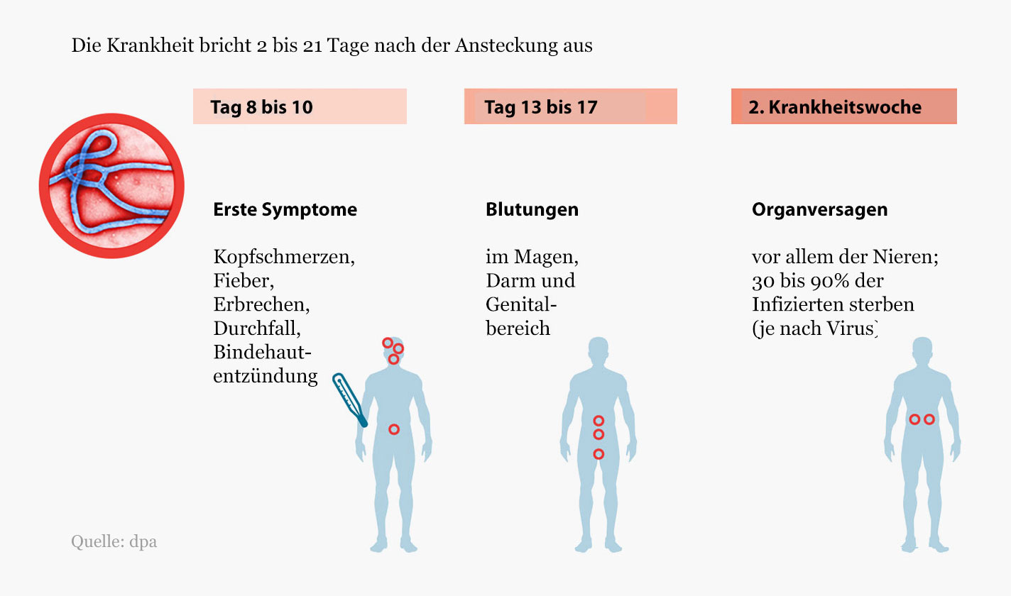 Wechseljahre blutungen nach 1 jahr