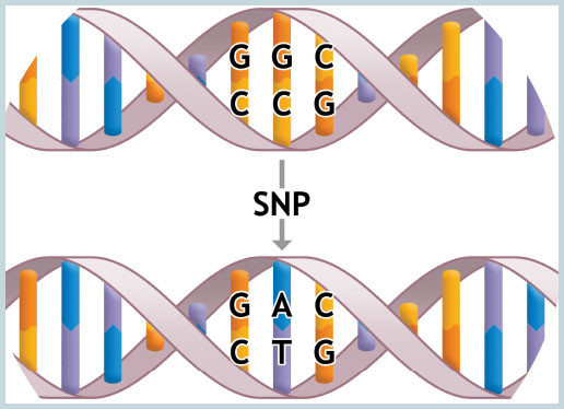 Sequence Homology And Snp Detection In Abiotic Stresspptx On Emaze