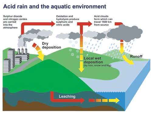 Acid Rain Research Project On Emaze