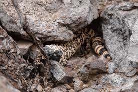 Weathing And Erosion