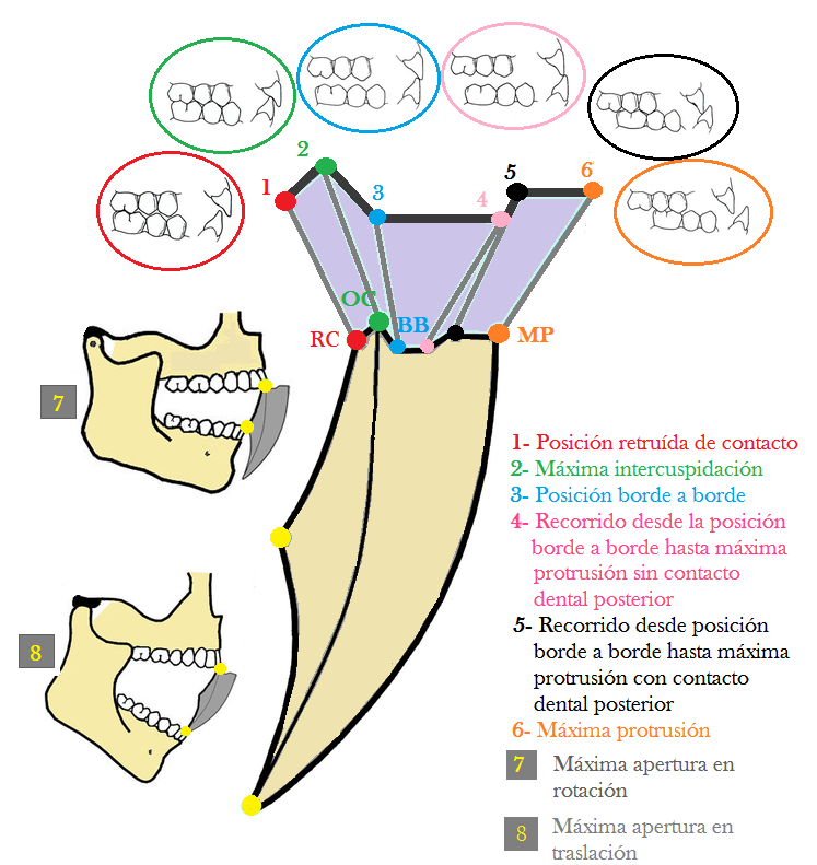 Diagrama De Posselt Pdf