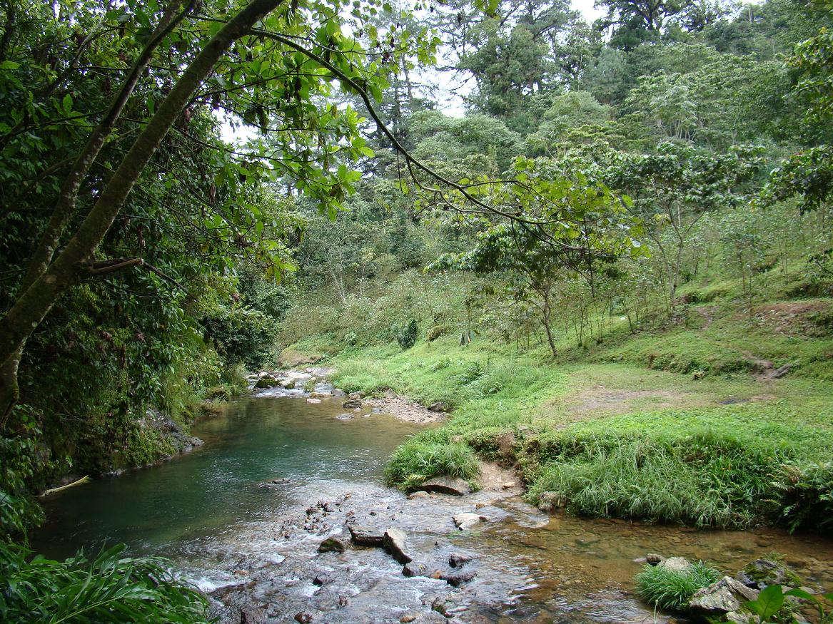 Huasteca Veracruzana on emaze Huasteca Veracruzana on emaze