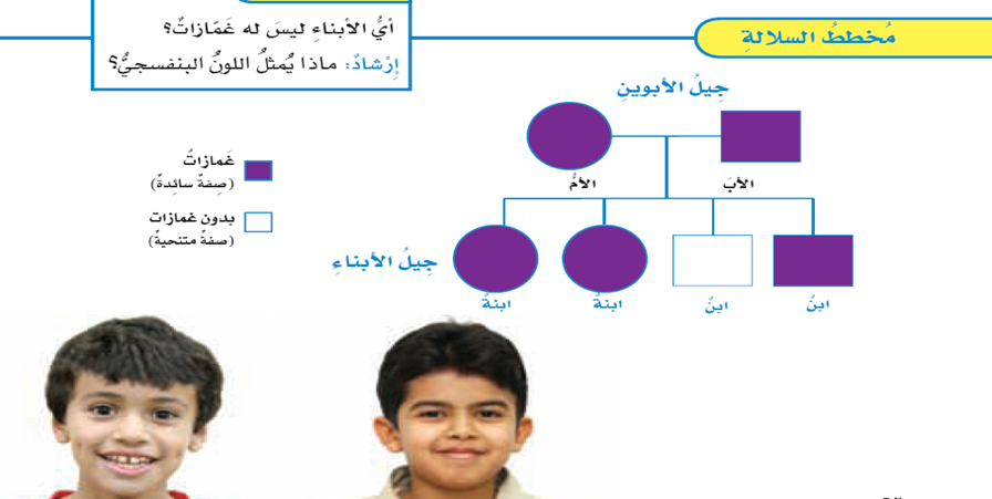 لون العيون من الصفات المكتسبة