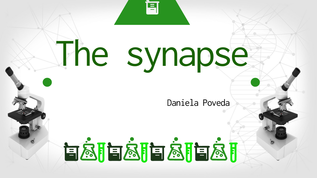The synapse at emaze Presentation