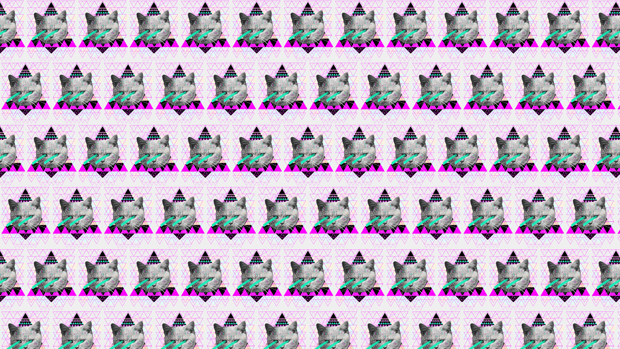 Dxoz Tumblr