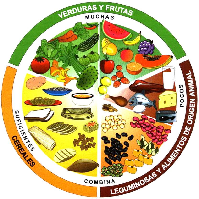 LOS ALIMENTOS.pptx on emaze