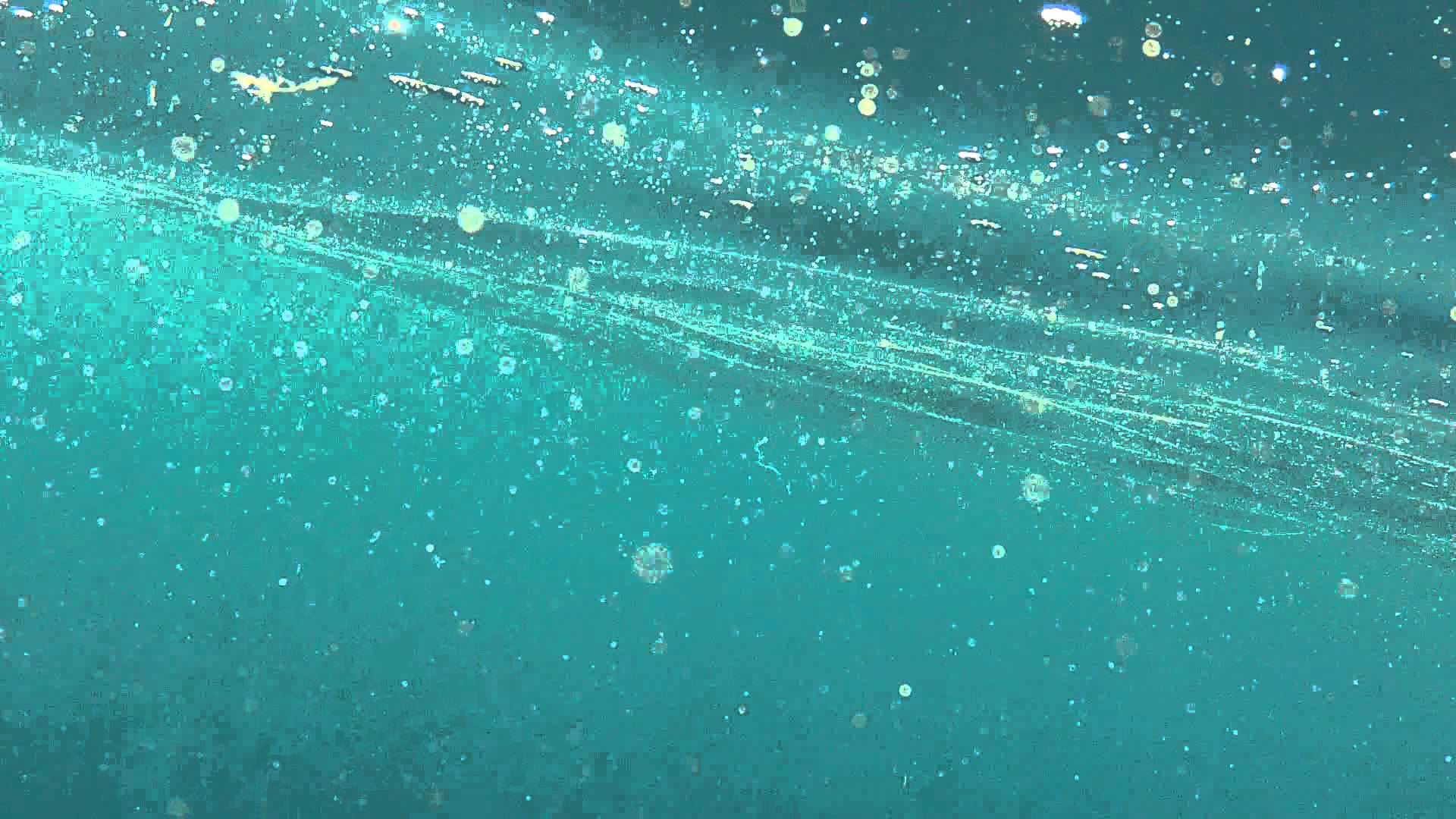 Вода на жирной поверхности. Желетелый планктон суспензия. Фитопланктон в океане. Морской планктон. Океанический планктон.