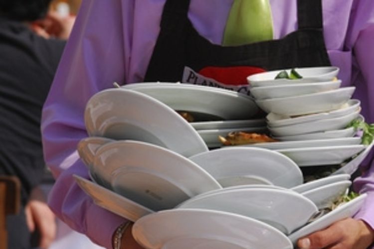 employees lacto ovodream restaurant busboy