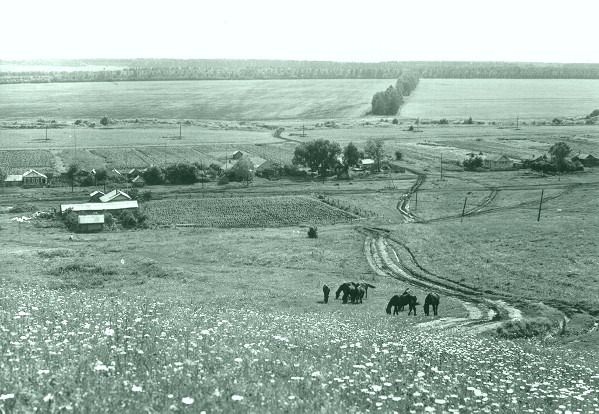 Мокша в волгапино. Михайло-архангельская церковь, мордовия, с. Волгапино мордовия. Село волгапино. Погода в волгапино.