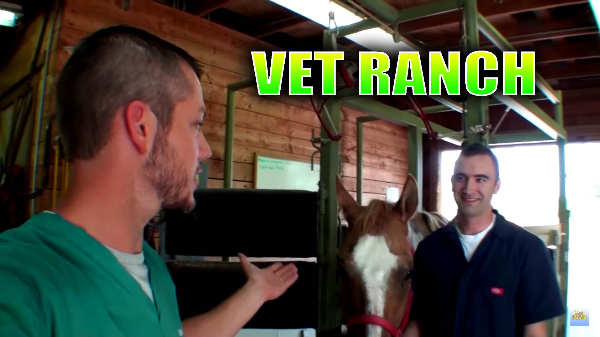 Vet Ranch Presentation at emaze Presentation