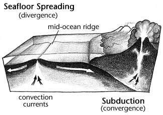 Plate Tectonics