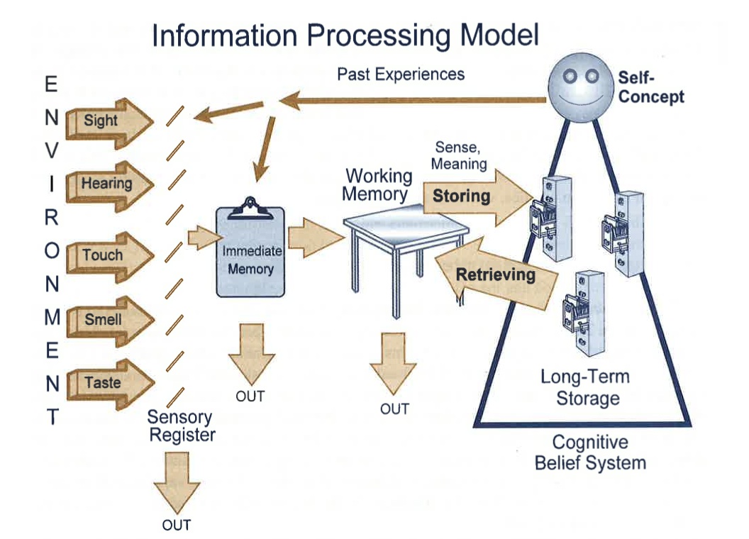 Sense meaning. Information processes. Метод CELLSEARCH. Information Systems. Information search.