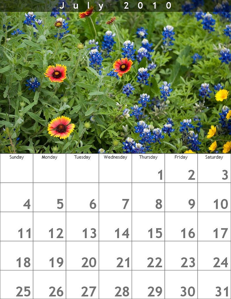 Календарь на июль месяц. Июль 2010 календарь. Июль календарь оформление. Календарь 2010 года по месяцам июль. Календарь 2010 года июль.