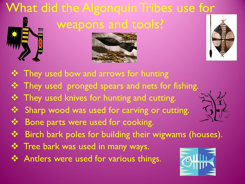 What tools did the Algonquins use?