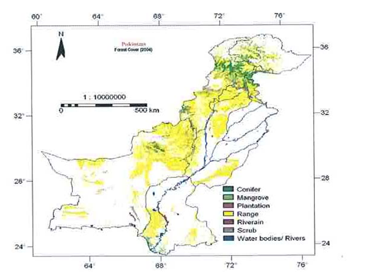 forest copy1 on emaze