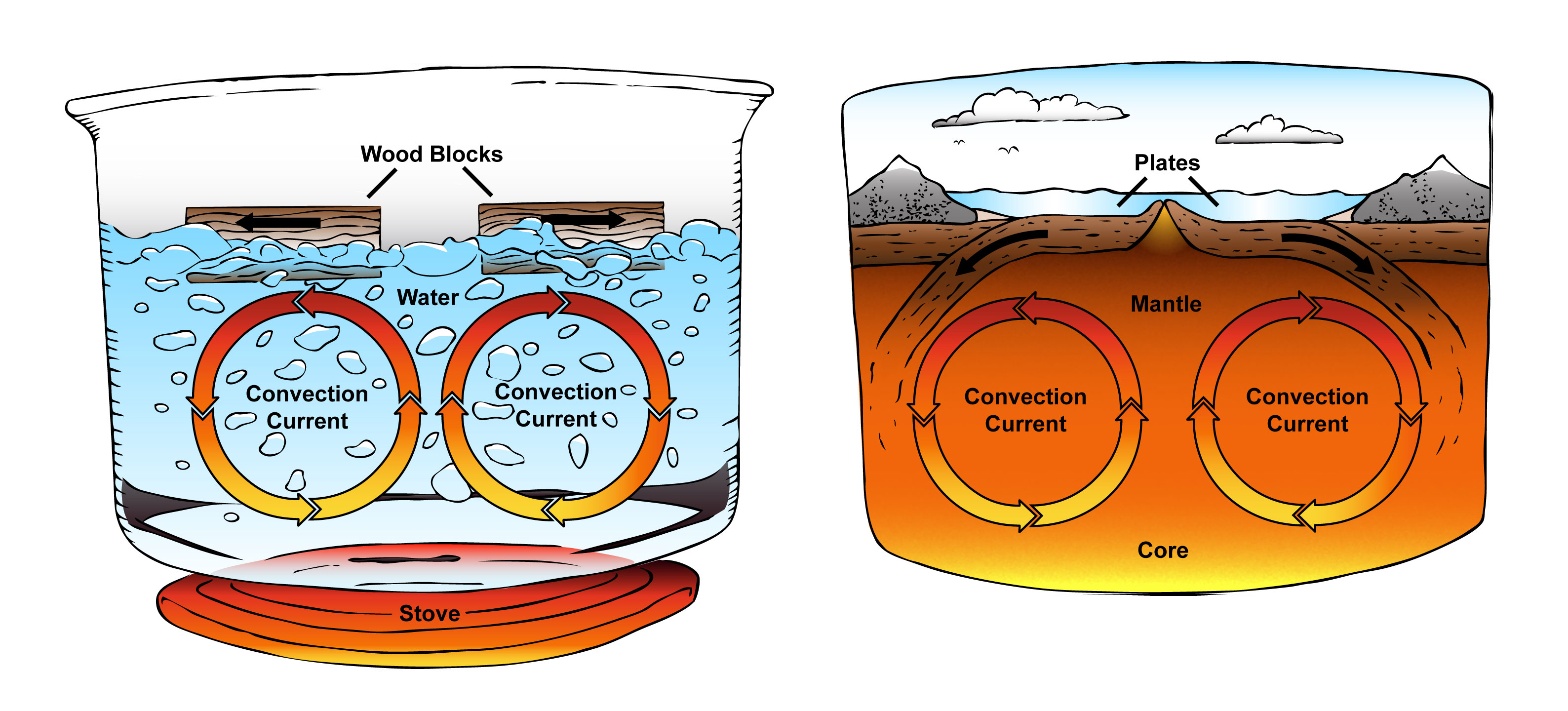 Convection Current Experiment Explanation at Ruth Leet blog