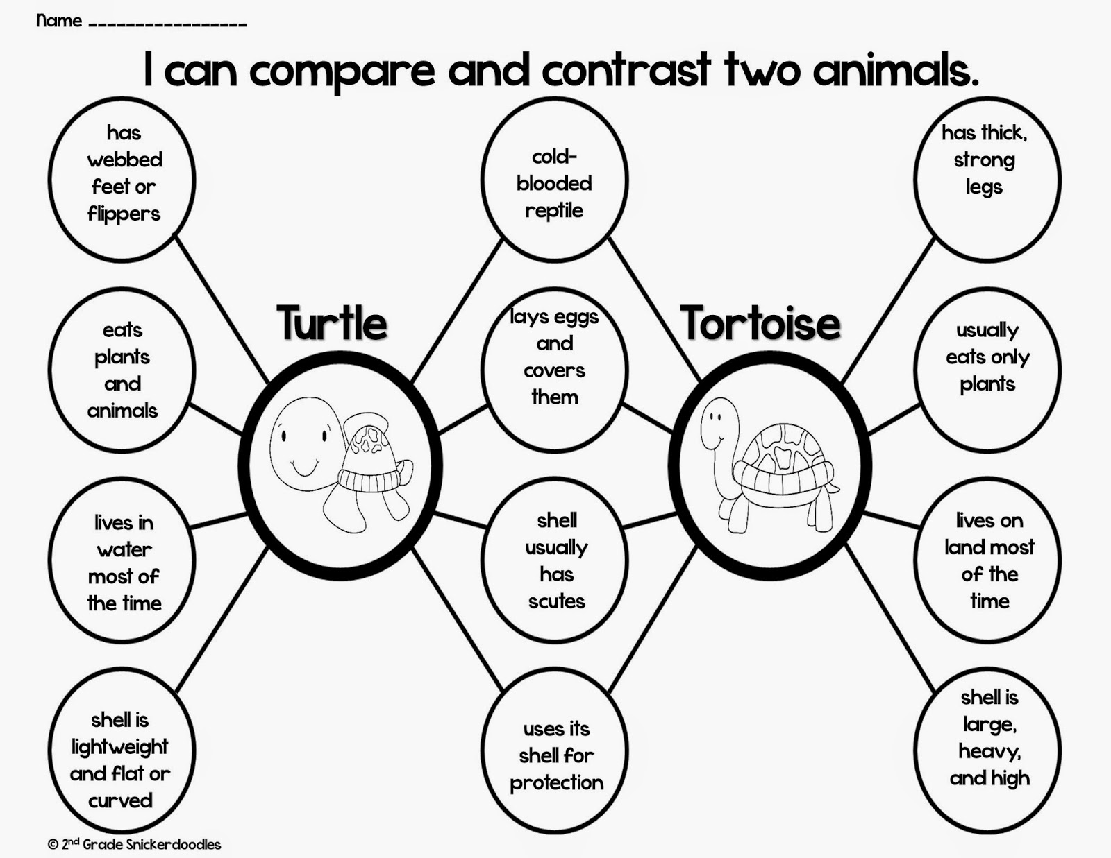 Could compare. Comparing and contrasting. Comparing and contrasting Worksheet. Compare and contrast Worksheets. Compare and contrast 2 pictures.