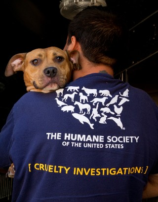 Humane Society of the United States. "The Humane Society of Canada"+"Toronto Humane Society". "The Humane Society of Canada"+Tracy. Human society