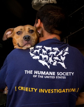 Humane Society of the United States. "The Humane Society of Canada"+"Toronto Humane Society". "The Humane Society of Canada"+Tracy.