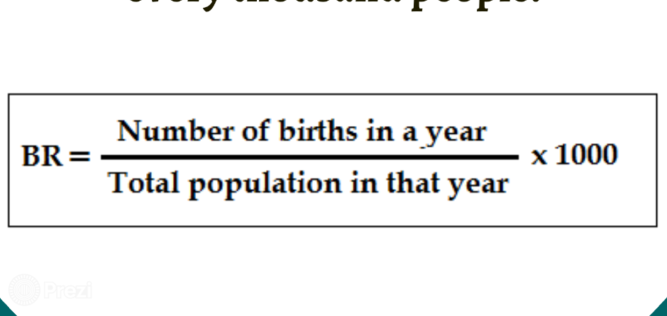 birth-rate-copy1-on-emaze