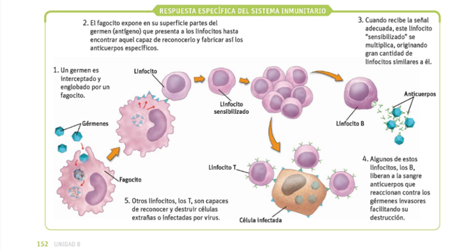 Microbiology Copy1 On Emaze