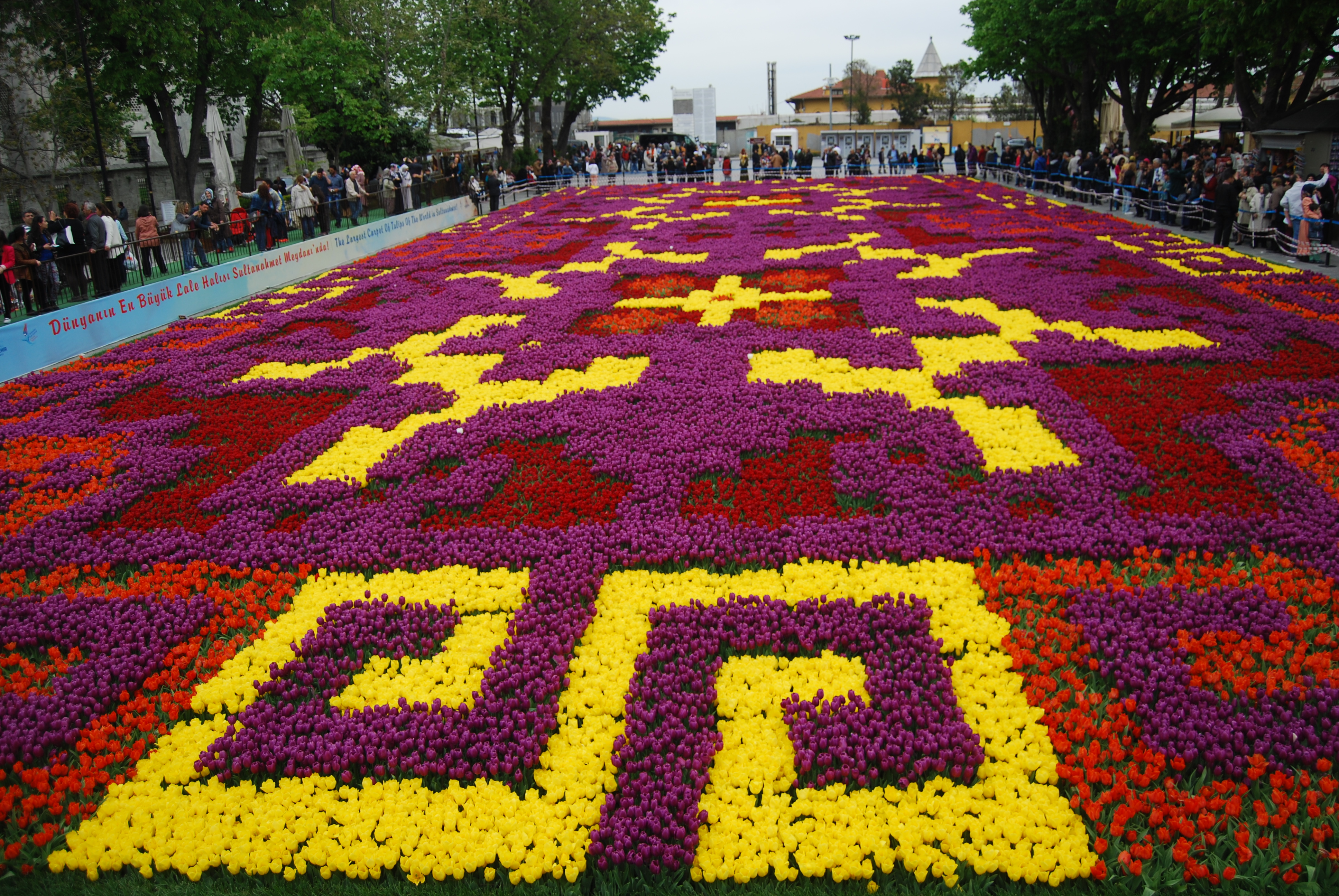 Праздники в стамбуле. Фестиваль тюльпанов в Стамбуле. Султанахмет фестиваль тюльпанов. Тюльпаны в Турции парад. Парад тюльпанов в Стамбуле.