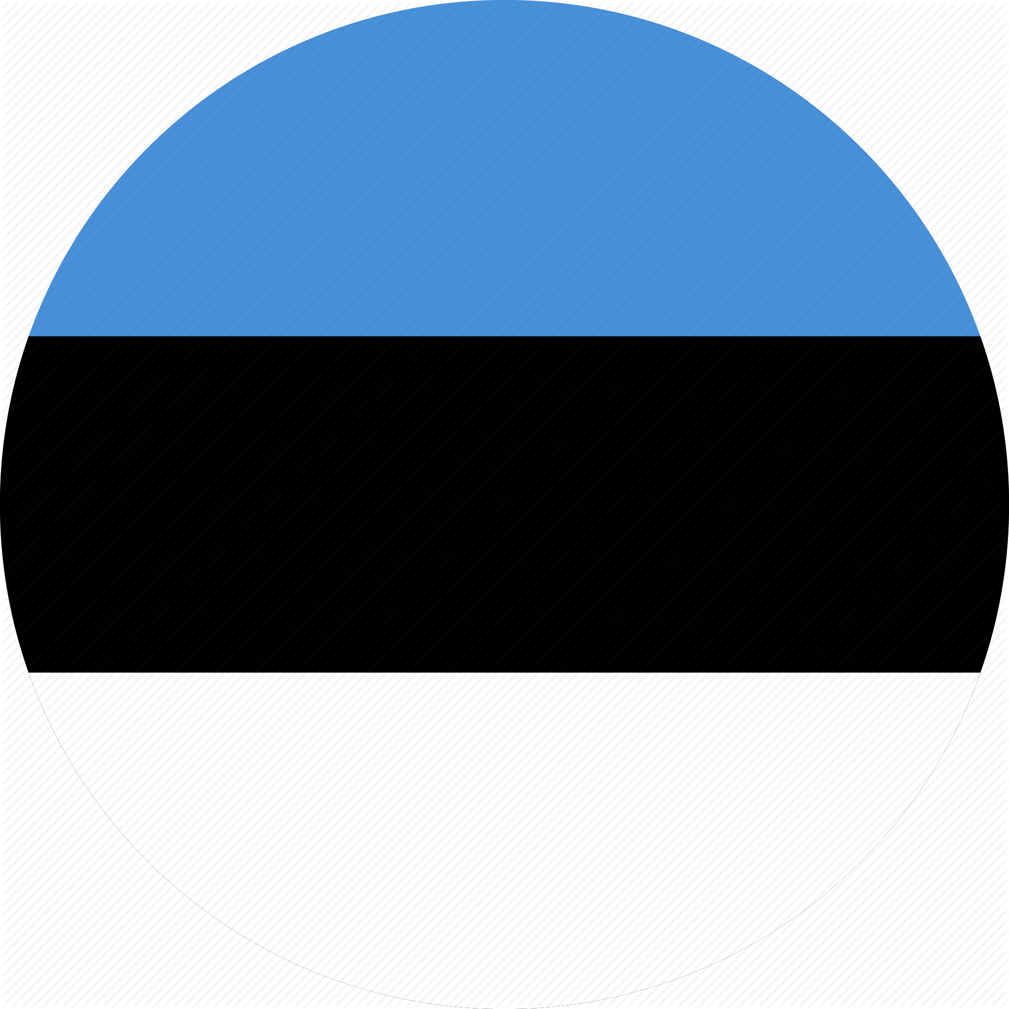 Estonia s. Эстония олд таллин. Estonia s. Эстония на карте. Estonia s.