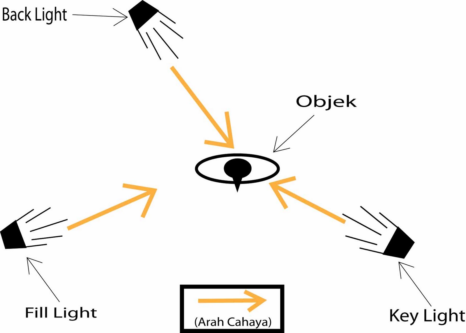 Fill light. Key Light fill Light. Key Light свет примеры. Flash fill in Light схема. Svive Procyon Key Light.