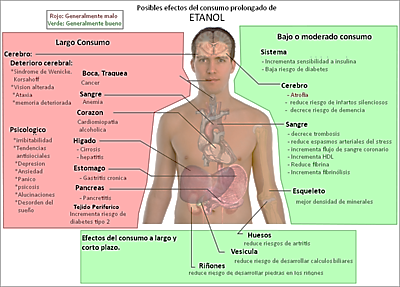 efectos del alcohol etilico en el cuerpo humano