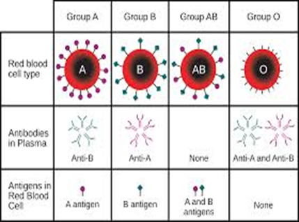 Multiple Allele at emaze Presentation