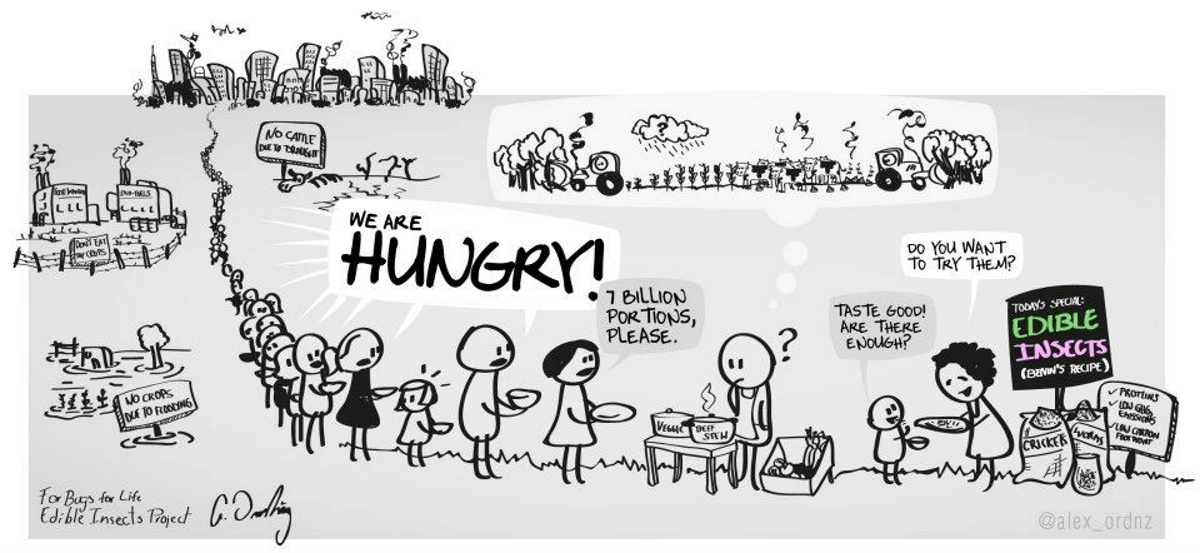 I am a little hungry. Are you hungry?. Are you hungry in the morning ответ. Are you hungry? 4 А. Как будет are you hungry на русском.