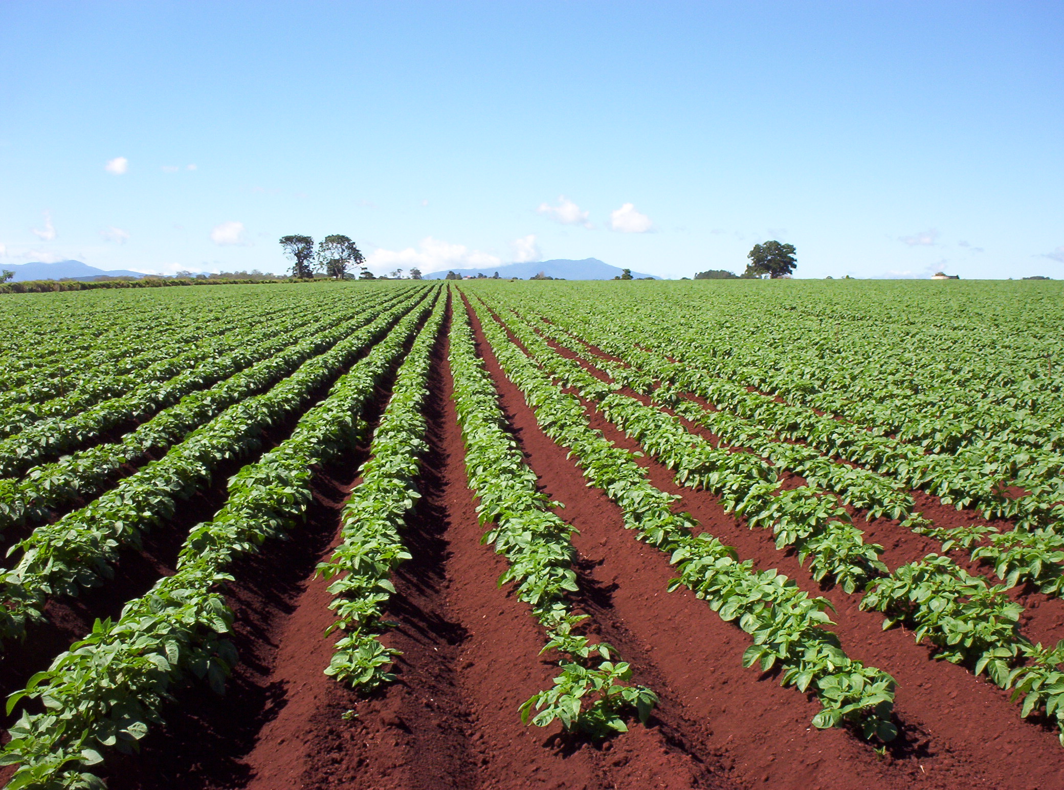 Farming org. Сельское хозяйство. Сбор урожая. Сельхоз земли. Ферма в Германии сельское хозяйство.