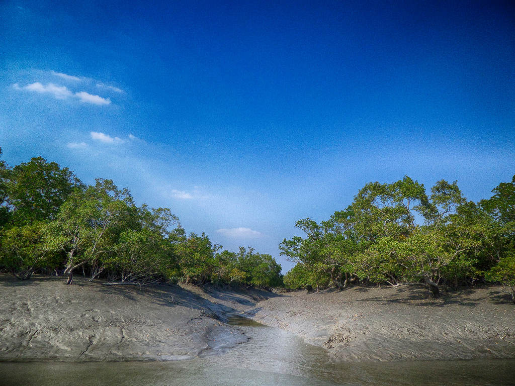 How We Efect The Environment On Emaze