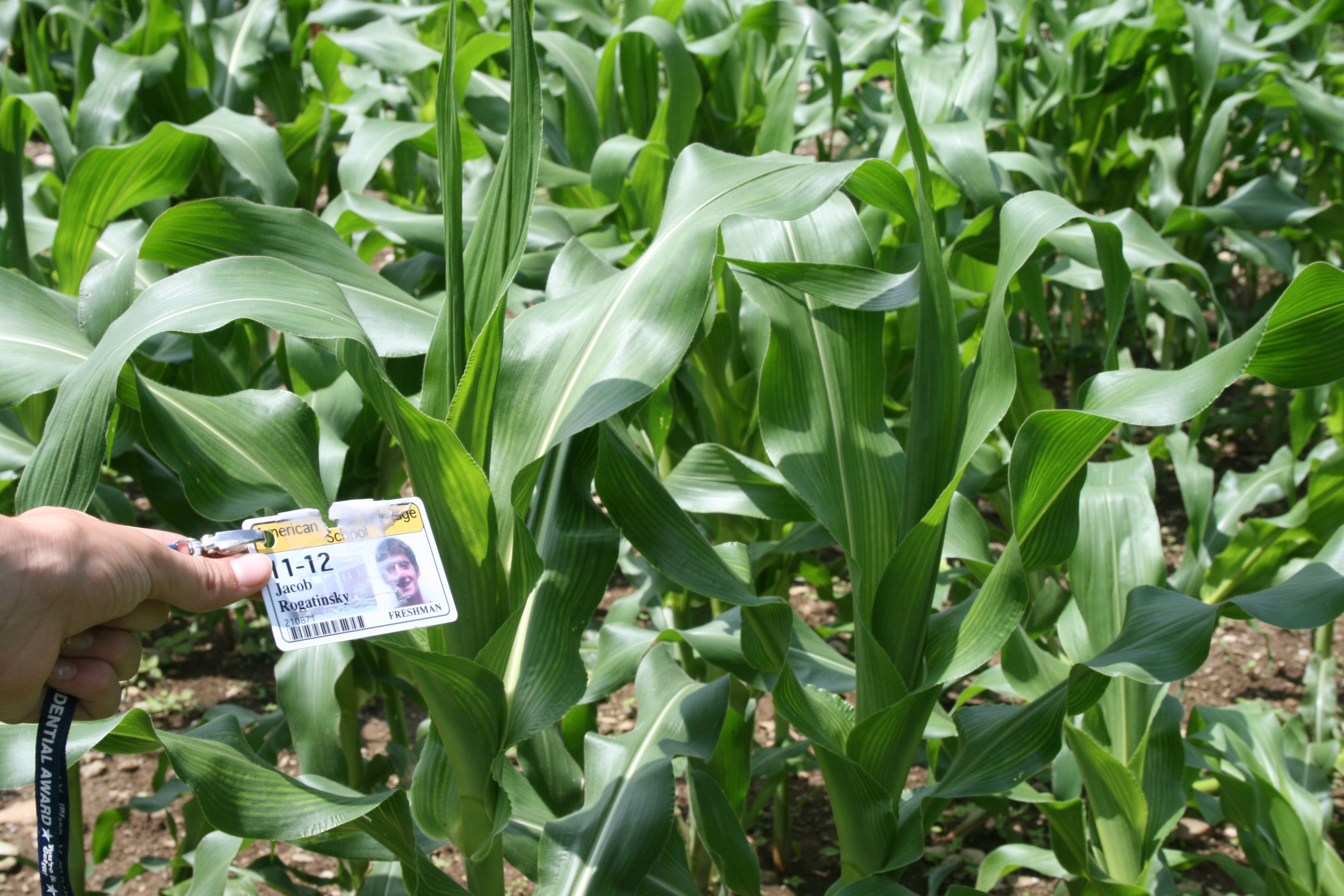 grass land biomesby on emaze