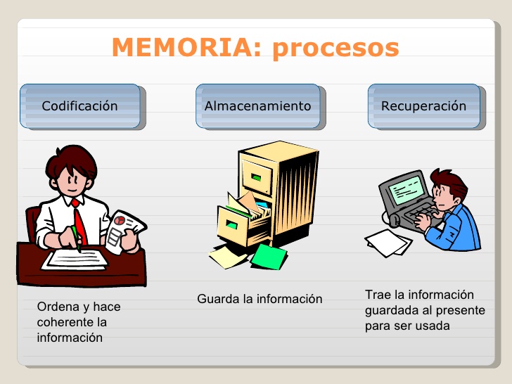 Resultado de imagen para CODIFICACION DE LA MEMORIA