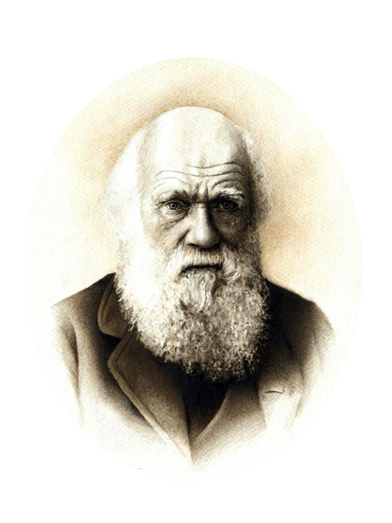Ч дарвин годы. Дарвин портрет. 19 Век Дарвин.