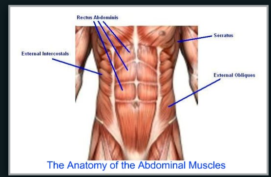 Dolor muscular abdominal derecho