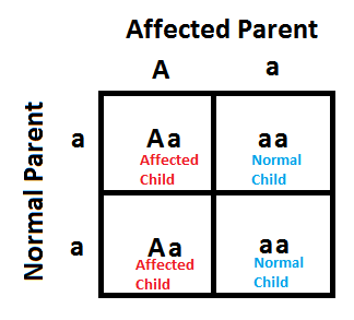 Fragile X Syndrome on emaze