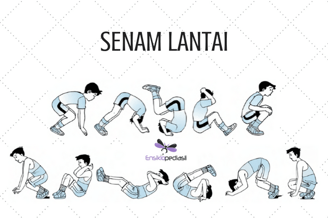 Cara Melakukan Guling Depan Diatas Peti Lompat Eva