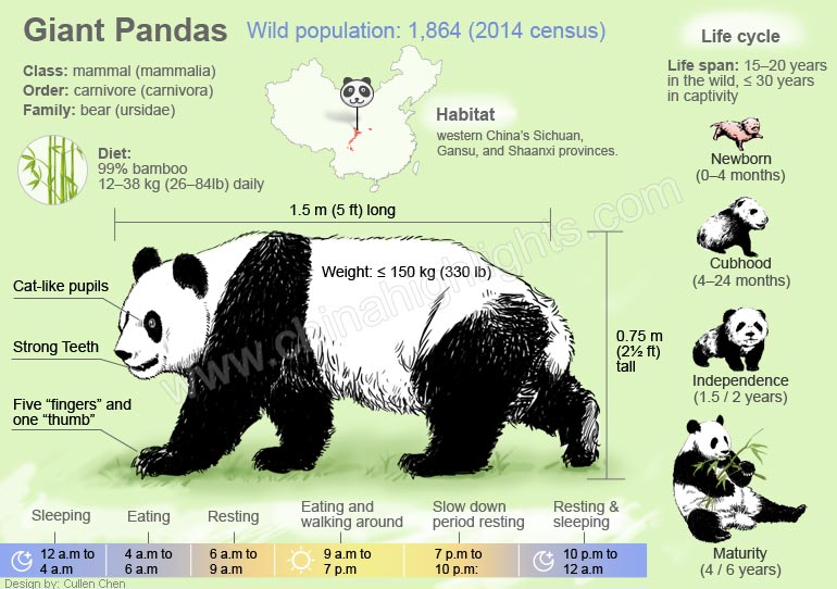 PANDAShelly on emaze