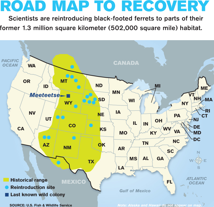 Image result for black footed ferret geographic ranges