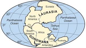 What is the name of the ocean that surrounded Pangaea?