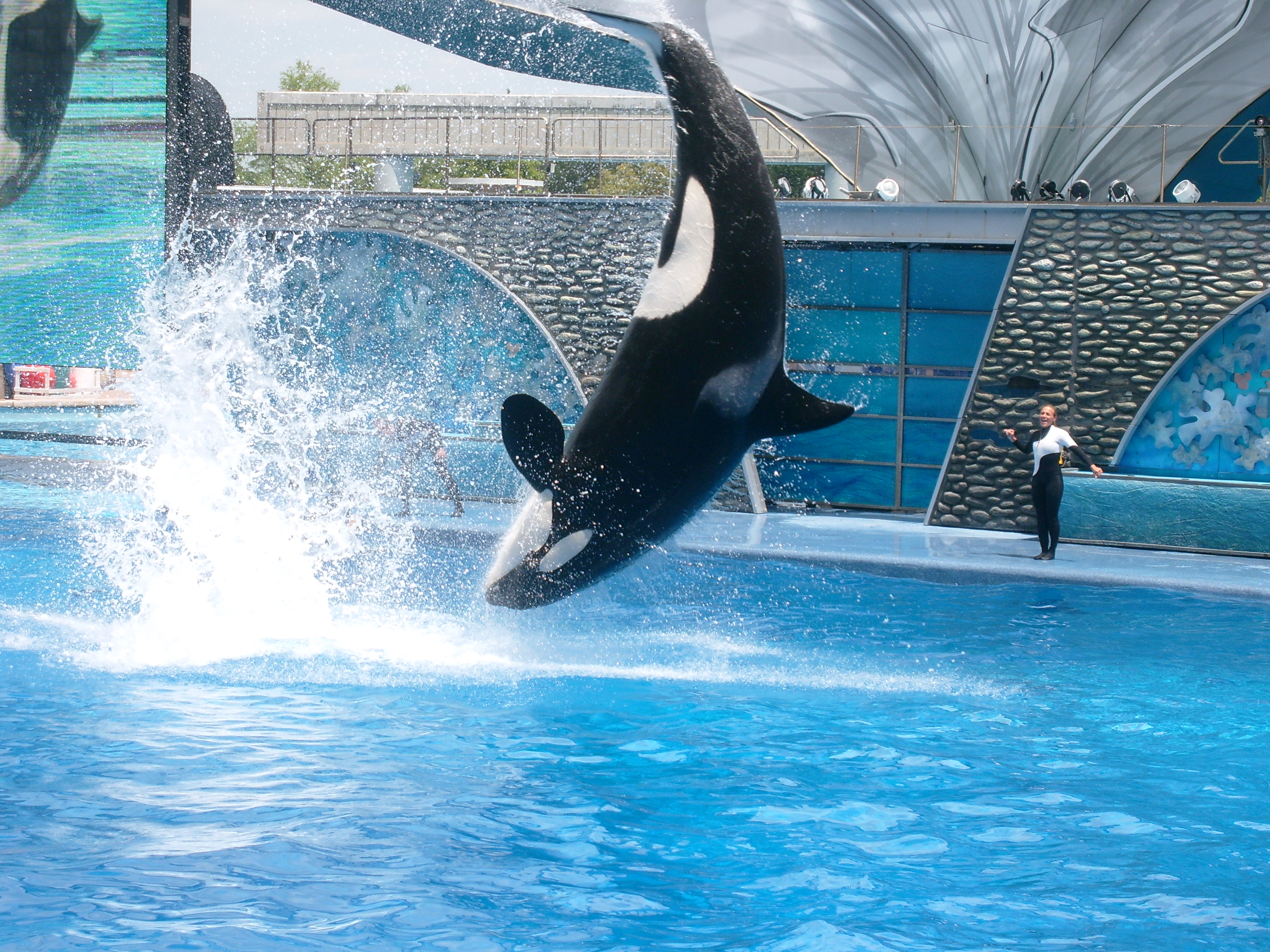 SHAMU!!!!!!!!!!!!! on emaze