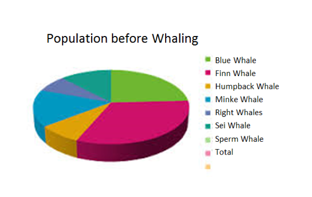 blue whales on emaze